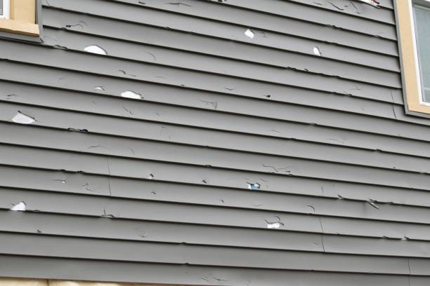 Affordable siding repair and maintenance services in Ivanhoe, CA